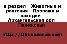  в раздел : Животные и растения » Пропажи и находки . Архангельская обл.,Пинежский 